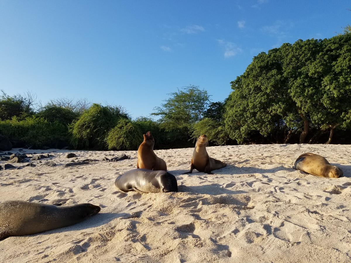 Bluebay Galapagos Planet Hotel Puerto Baquerizo Moreno Eksteriør billede